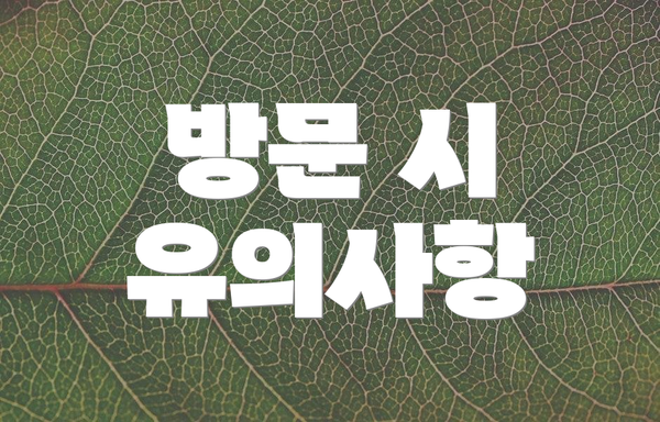 방문 시 유의사항