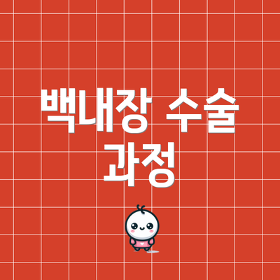 백내장 수술 과정