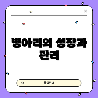 병아리의 성장과 관리