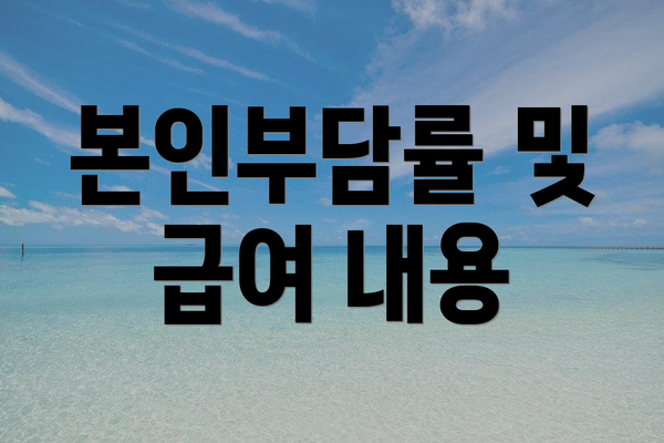 본인부담률 및 급여 내용