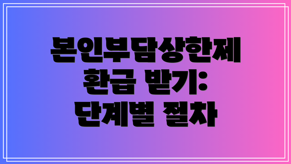 본인부담상한제 환급 받기: 단계별 절차