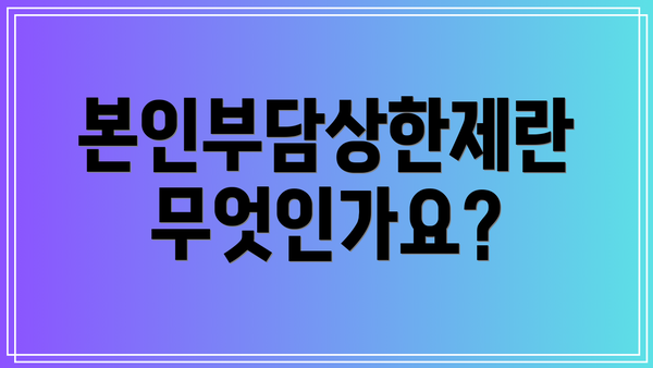 본인부담상한제란 무엇인가요?