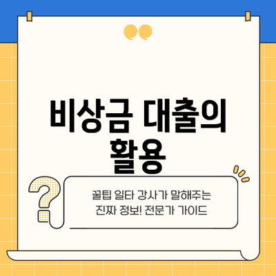 비상금 대출의 활용