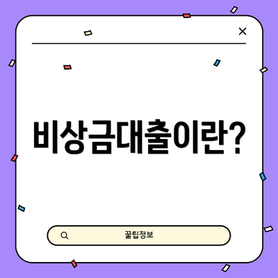 비상금대출이란?
