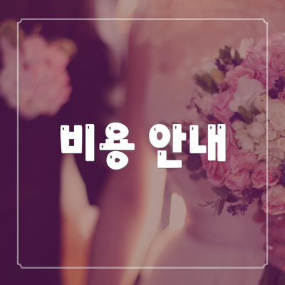 비용 안내