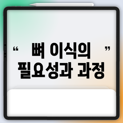 뼈 이식의 필요성과 과정