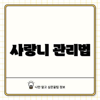 사랑니 관리법