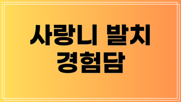 사랑니 발치 경험담