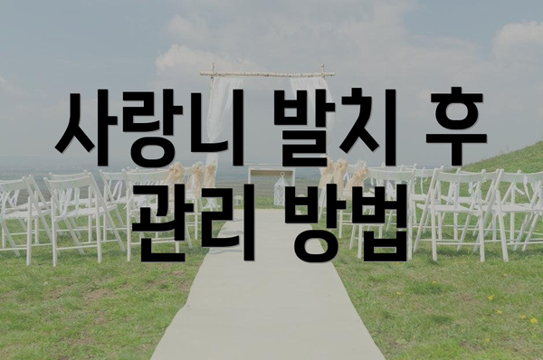 사랑니 발치 후 관리 방법