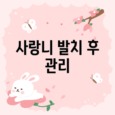 사랑니 발치 후 관리