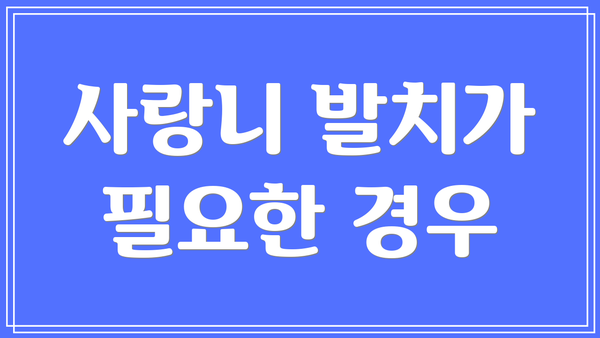 사랑니 발치가 필요한 경우