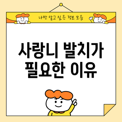 사랑니 발치가 필요한 이유