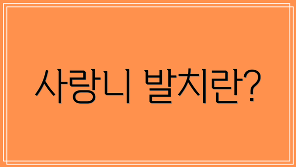 사랑니 발치란?