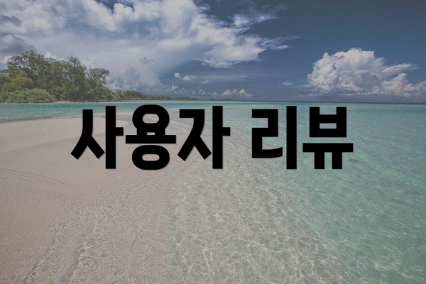 사용자 리뷰