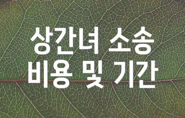 상간녀 소송 비용 및 기간