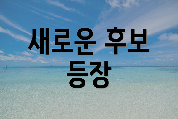 새로운 후보 등장