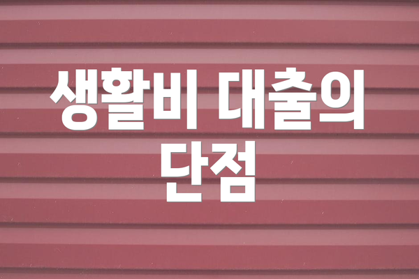 생활비 대출의 단점