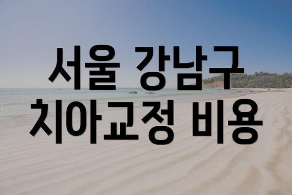 서울 강남구 치아교정 비용