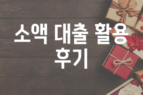 소액 대출 활용 후기