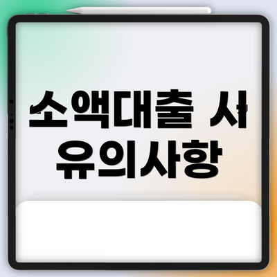 소액대출 시 유의사항