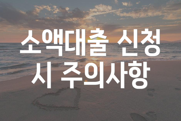소액대출 신청 시 주의사항