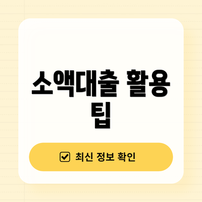소액대출 활용 팁
