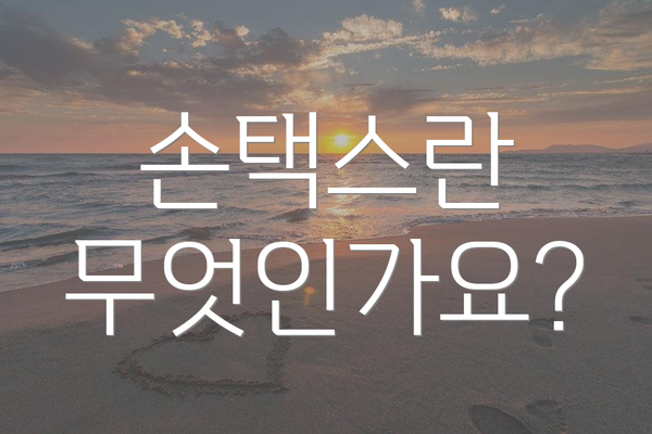 손택스란 무엇인가요?