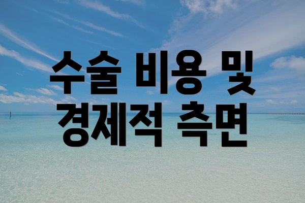 수술 비용 및 경제적 측면