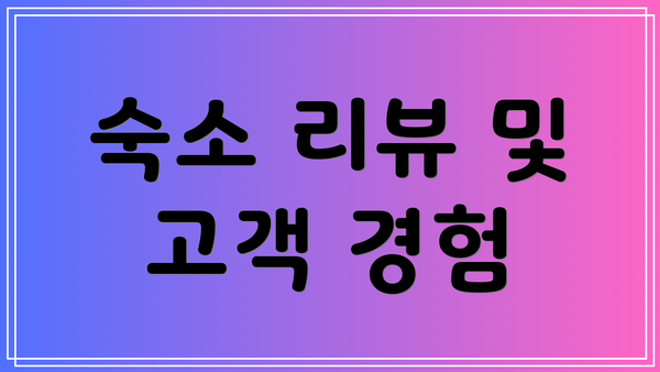 숙소 리뷰 및 고객 경험