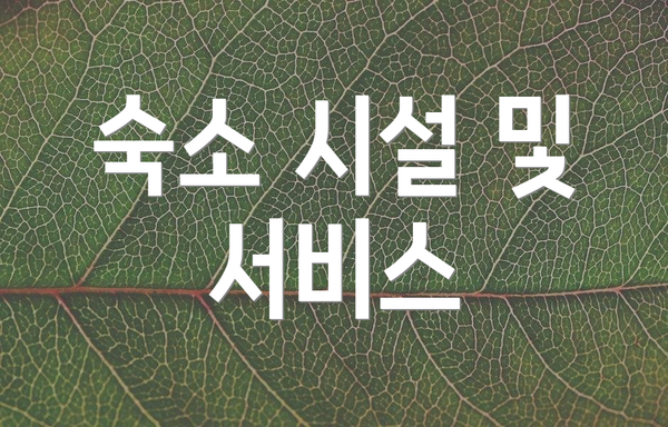 숙소 시설 및 서비스