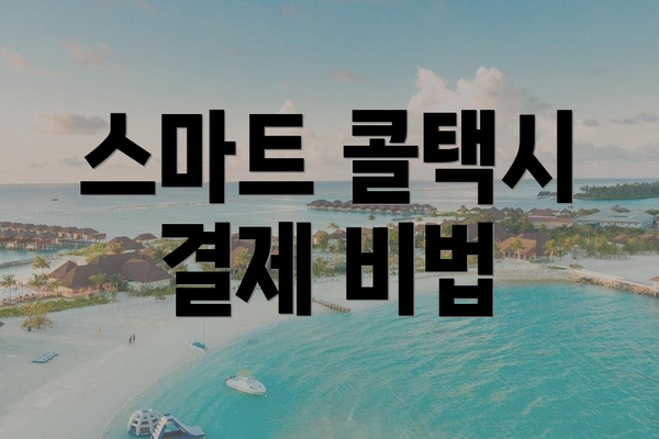스마트 콜택시 결제 비법
