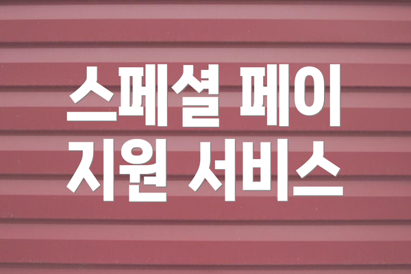 스페셜 페이 지원 서비스