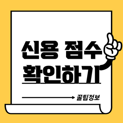 신용 점수 확인하기