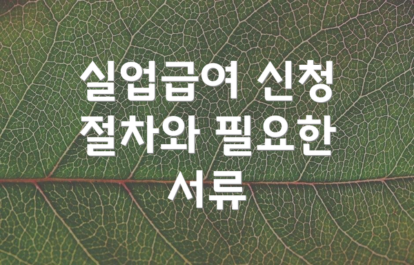 실업급여 신청 절차와 필요한 서류
