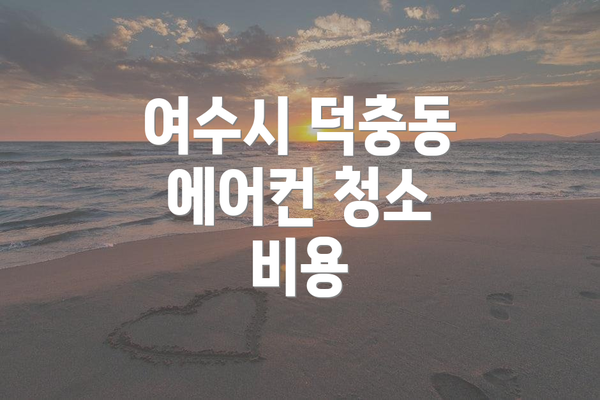 여수시 덕충동 에어컨 청소 비용