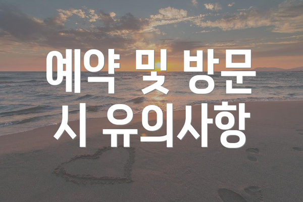 예약 및 방문 시 유의사항