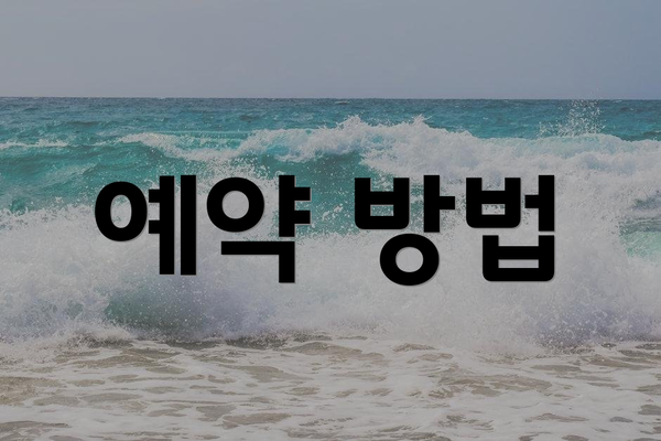 예약 방법