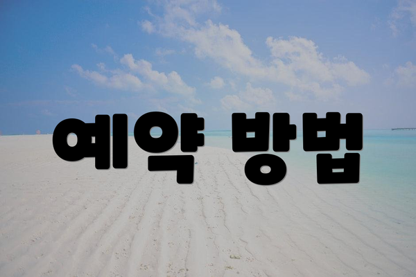 예약 방법
