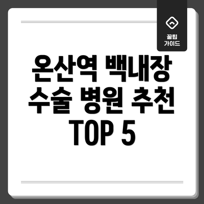 온산역 백내장 수술 병원 추천 TOP 5
