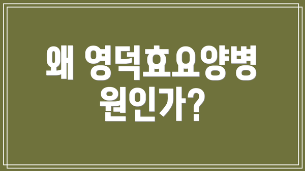 왜 영덕효요양병원인가?