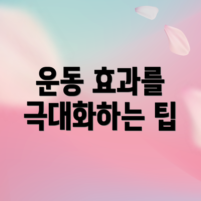 운동 효과를 극대화하는 팁