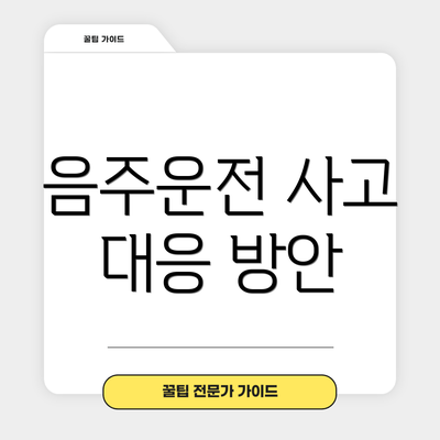 음주운전 사고 대응 방안