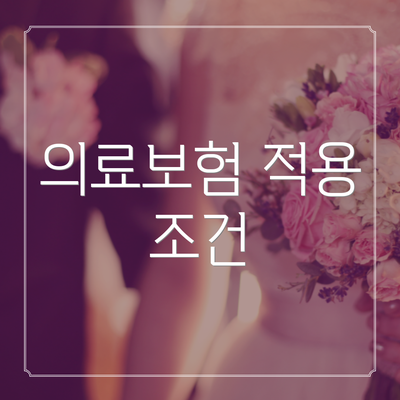 의료보험 적용 조건