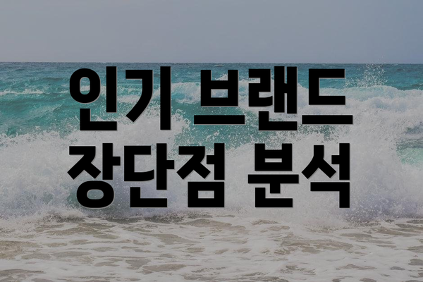 인기 브랜드 장단점 분석