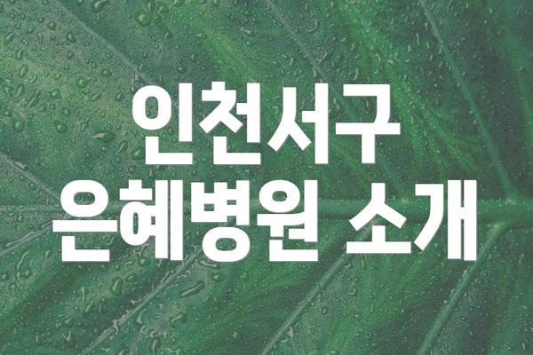 인천서구 은혜병원 소개