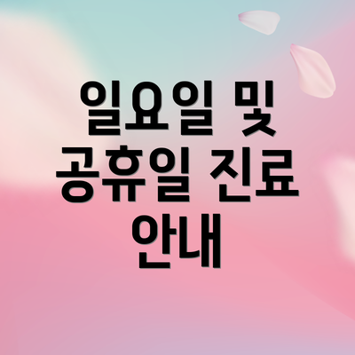 일요일 및 공휴일 진료 안내
