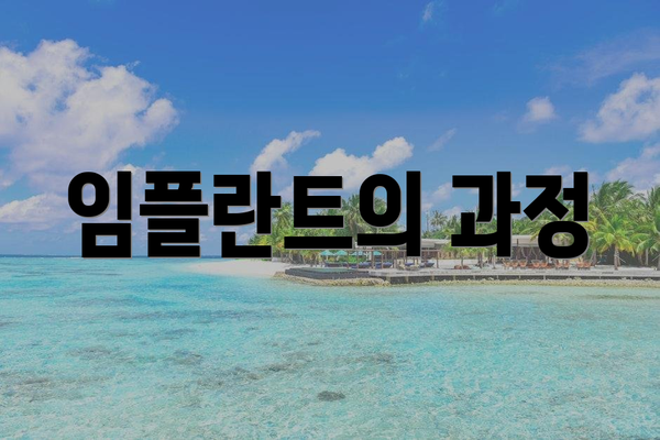 임플란트의 과정