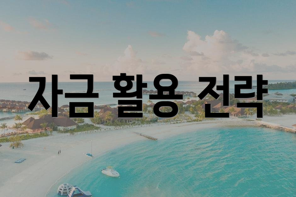 자금 활용 전략