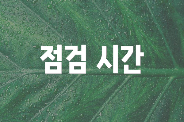 점검 시간