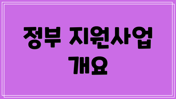 정부 지원사업 개요